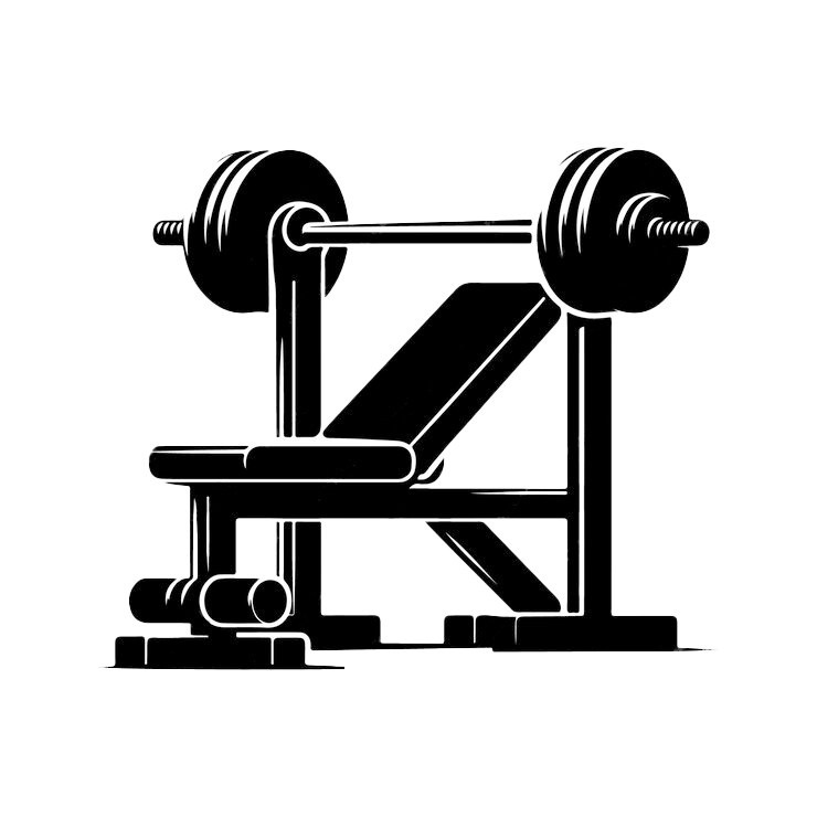 مقاعد التمارين
