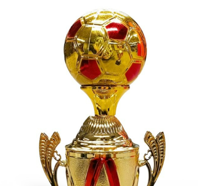 كأس كرة 4PY