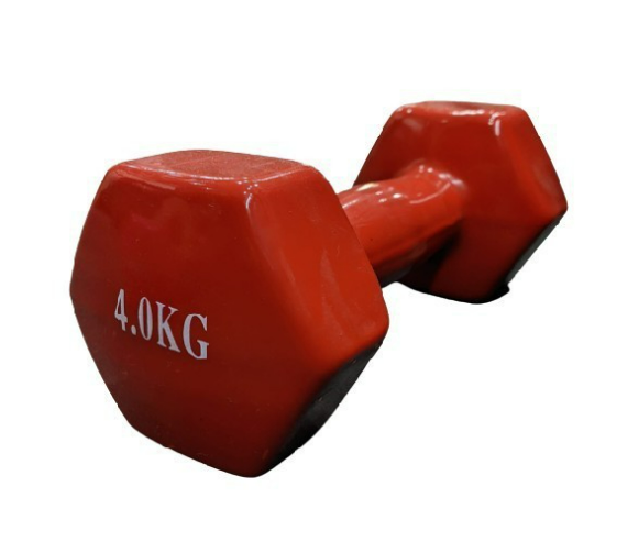 Static Dumbbells 4 kg
