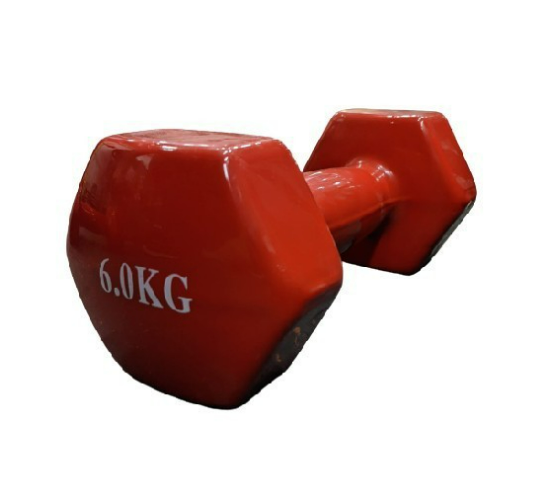 Static Dumbbells 6 kg