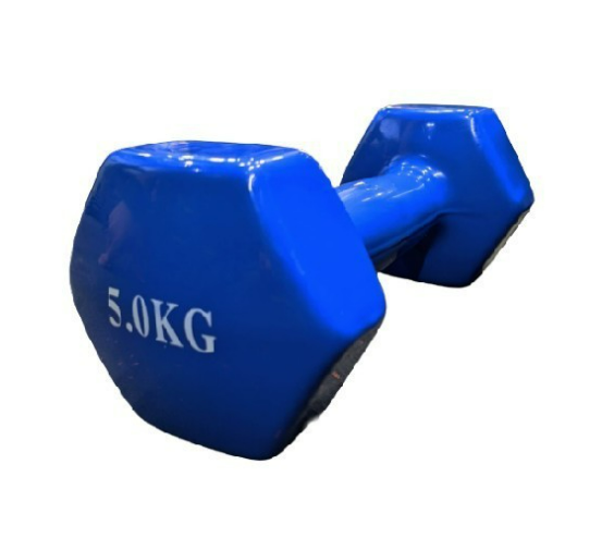 Static Dumbbells 5 kg